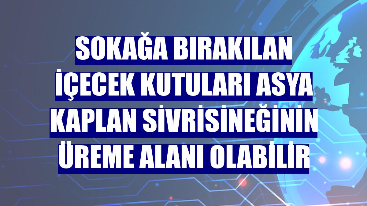 Sokağa bırakılan içecek kutuları Asya kaplan sivrisineğinin üreme alanı olabilir