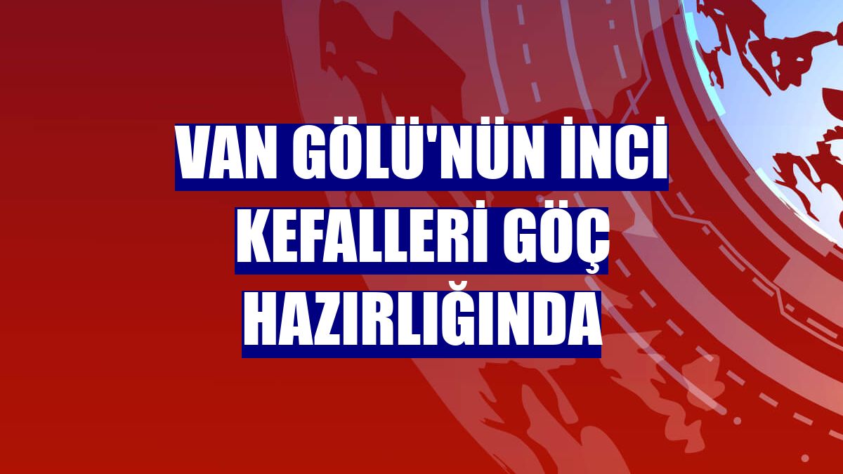 Van Gölü'nün inci kefalleri göç hazırlığında