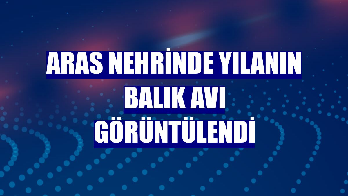 Aras Nehrinde yılanın balık avı görüntülendi