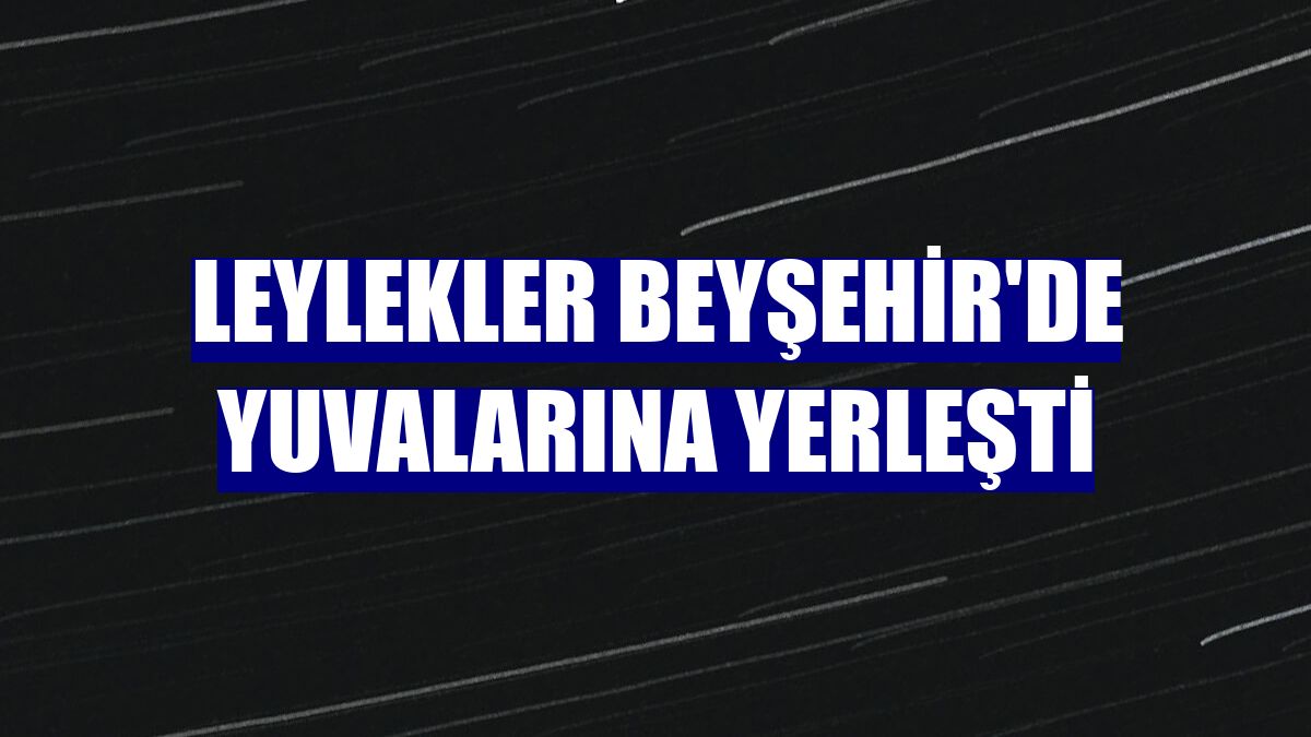 Leylekler Beyşehir'de yuvalarına yerleşti