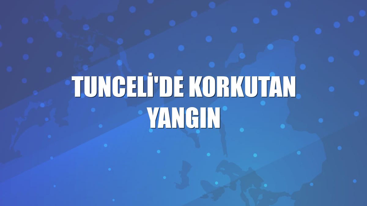 Tunceli'de korkutan yangın