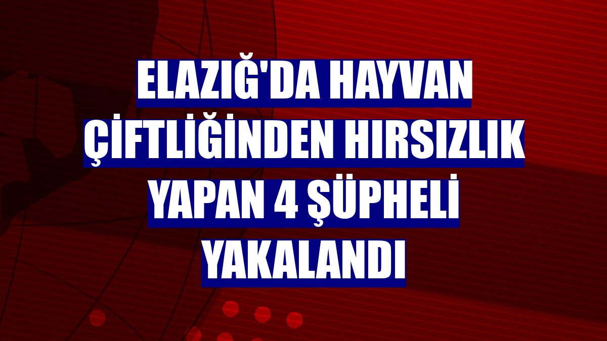 Elazığ'da hayvan çiftliğinden hırsızlık yapan 4 şüpheli yakalandı