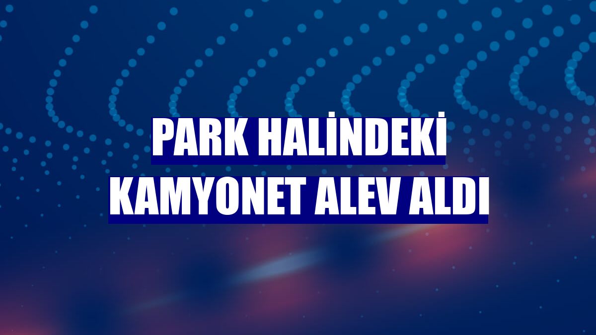 Park halindeki kamyonet alev aldı
