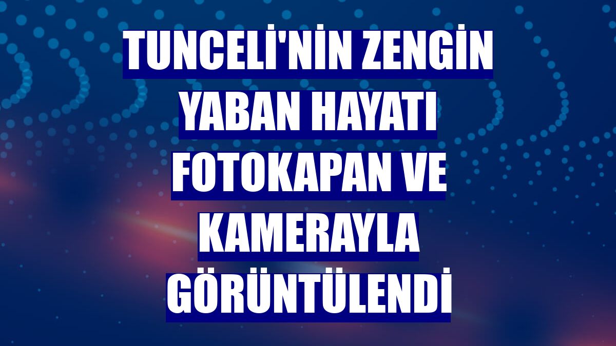 Tunceli'nin zengin yaban hayatı fotokapan ve kamerayla görüntülendi