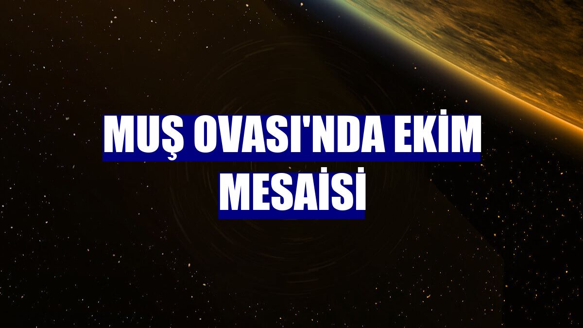 Muş Ovası'nda ekim mesaisi