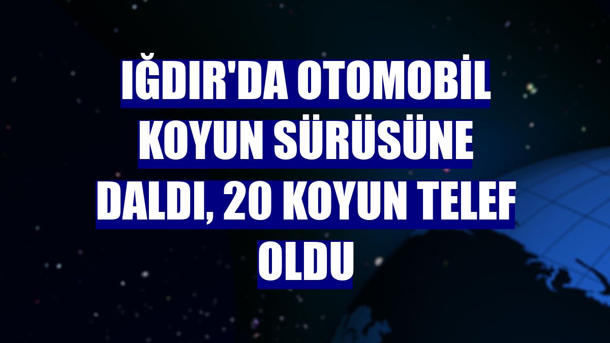 Iğdır'da otomobil koyun sürüsüne daldı, 20 koyun telef oldu