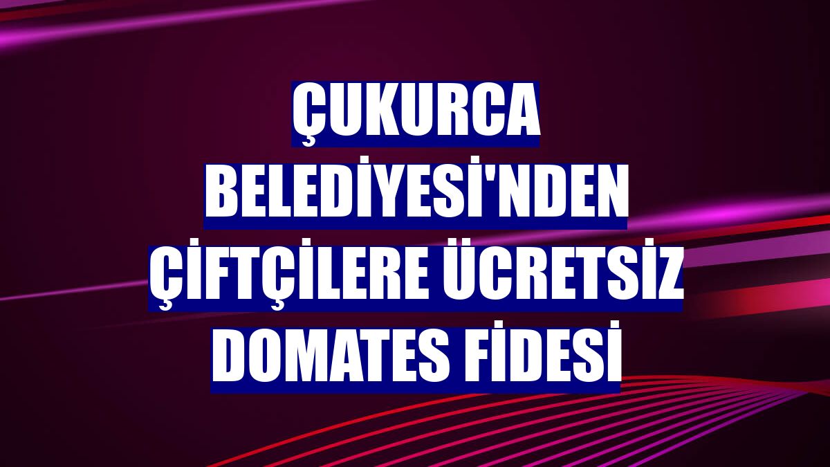 Çukurca Belediyesi'nden çiftçilere ücretsiz domates fidesi