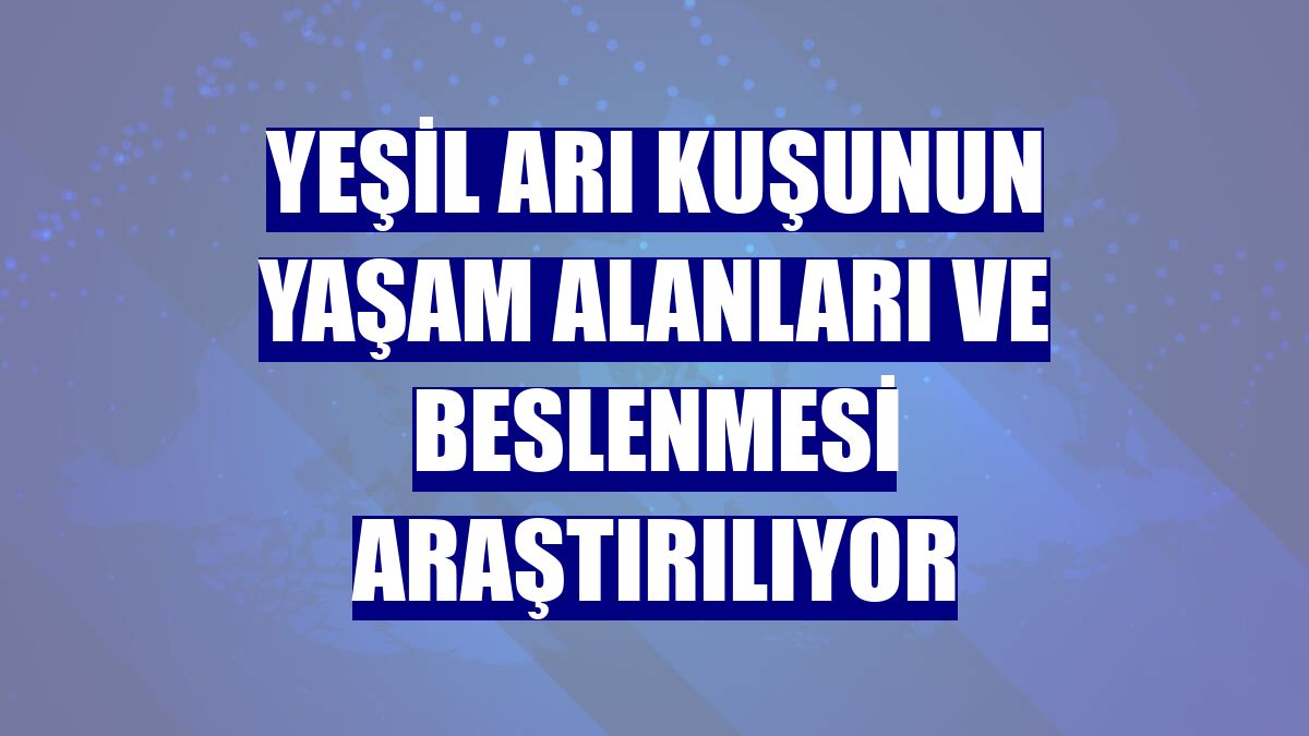 Yeşil arı kuşunun yaşam alanları ve beslenmesi araştırılıyor