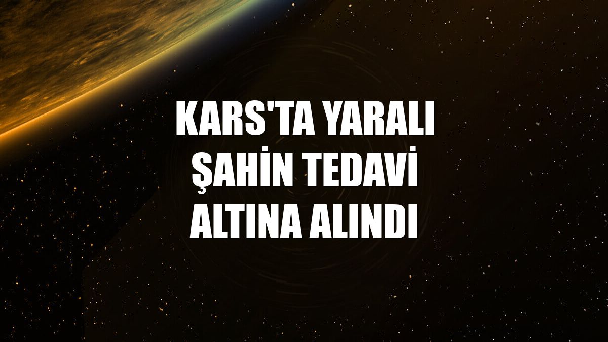 Kars'ta yaralı şahin tedavi altına alındı