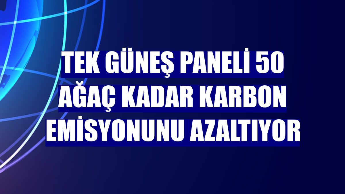 Tek güneş paneli 50 ağaç kadar karbon emisyonunu azaltıyor