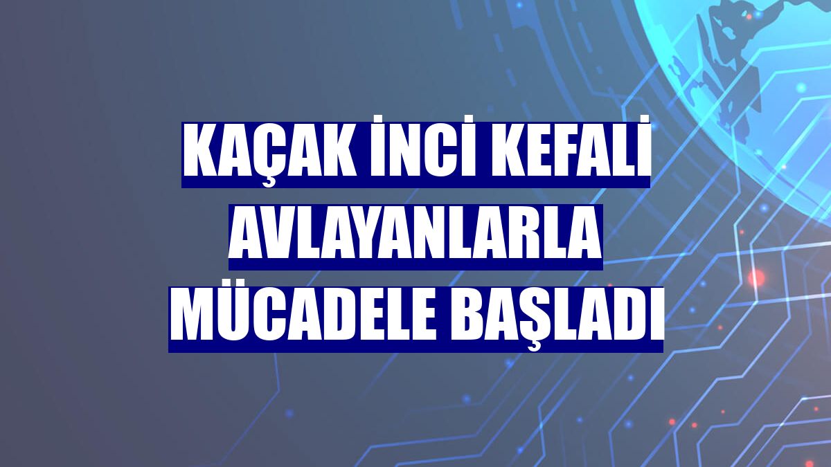 Kaçak inci kefali avlayanlarla mücadele başladı