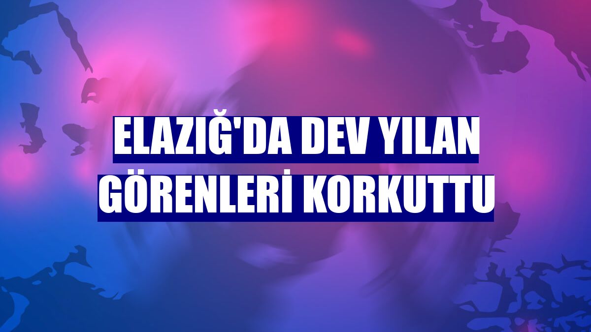 Elazığ'da dev yılan görenleri korkuttu