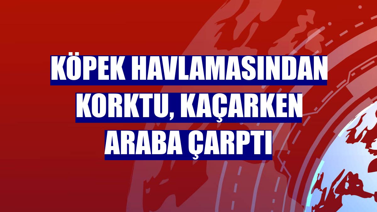 Köpek havlamasından korktu, kaçarken araba çarptı