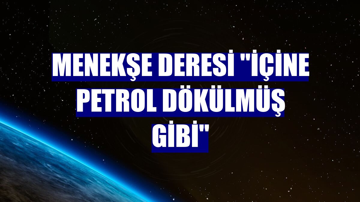 Menekşe Deresi "içine petrol dökülmüş gibi"