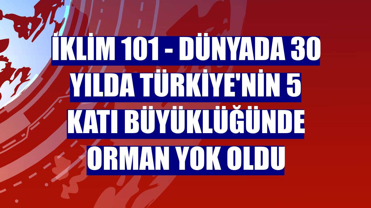 İKLİM 101 - Dünyada 30 yılda Türkiye'nin 5 katı büyüklüğünde orman yok oldu