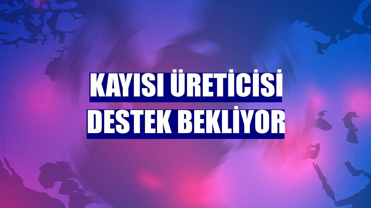 Kayısı üreticisi destek bekliyor