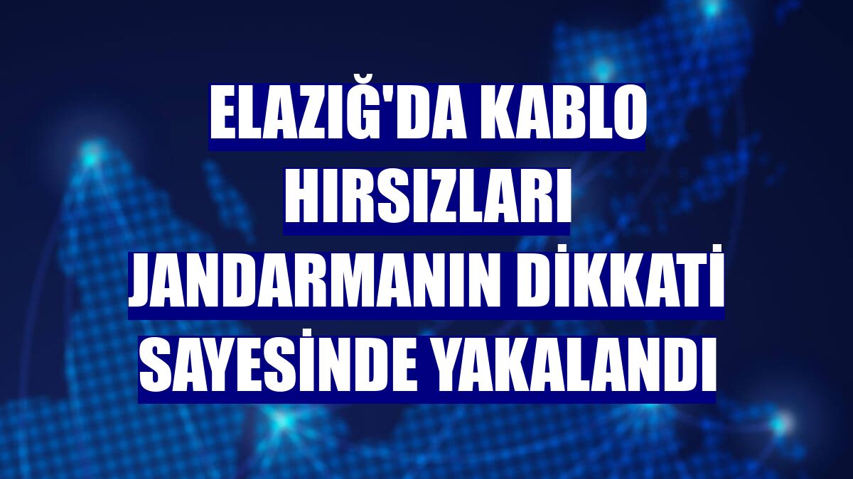 Elazığ'da kablo hırsızları jandarmanın dikkati sayesinde yakalandı