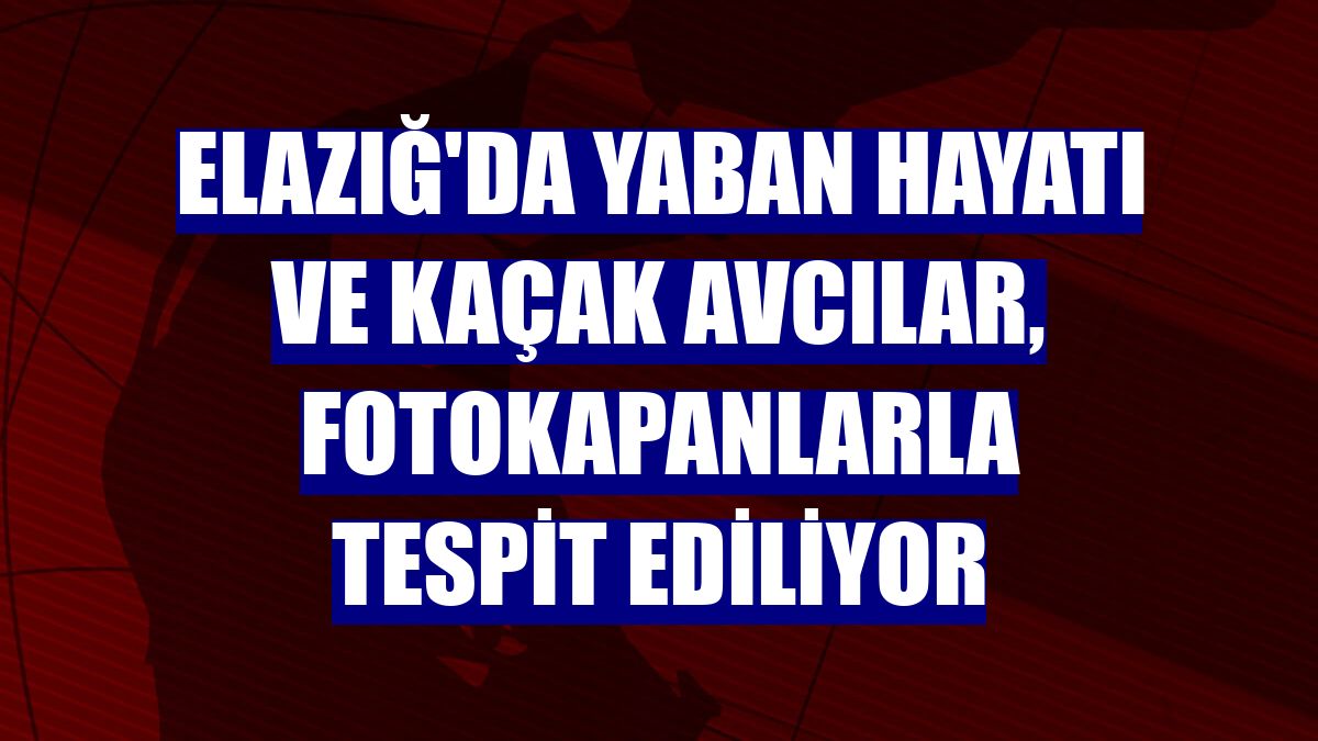 Elazığ'da yaban hayatı ve kaçak avcılar, fotokapanlarla tespit ediliyor