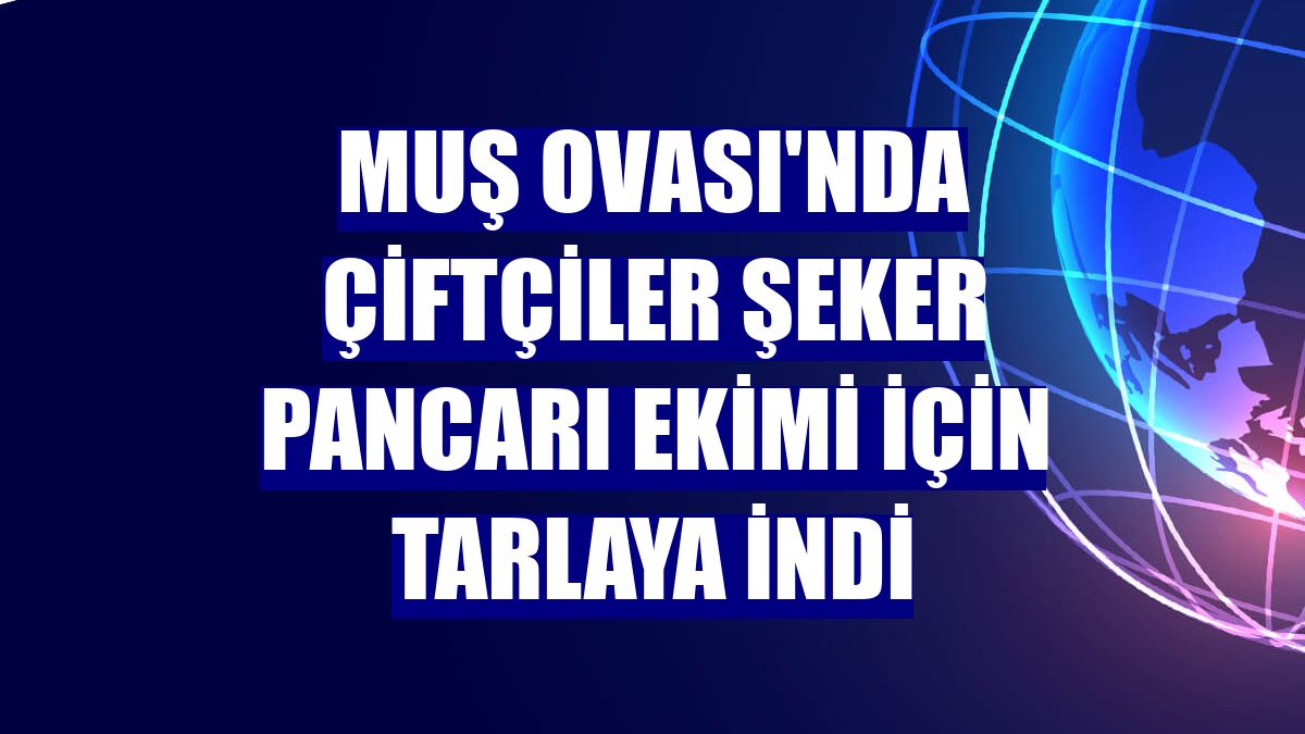 Muş Ovası'nda çiftçiler şeker pancarı ekimi için tarlaya indi