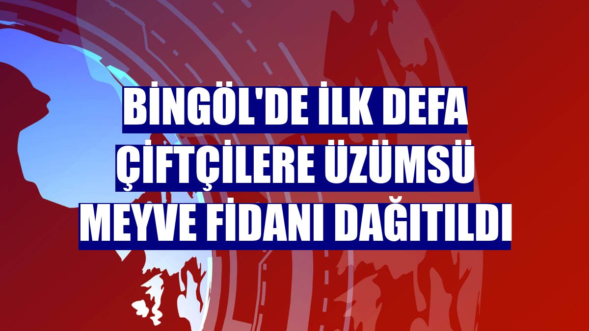 Bingöl'de ilk defa çiftçilere üzümsü meyve fidanı dağıtıldı