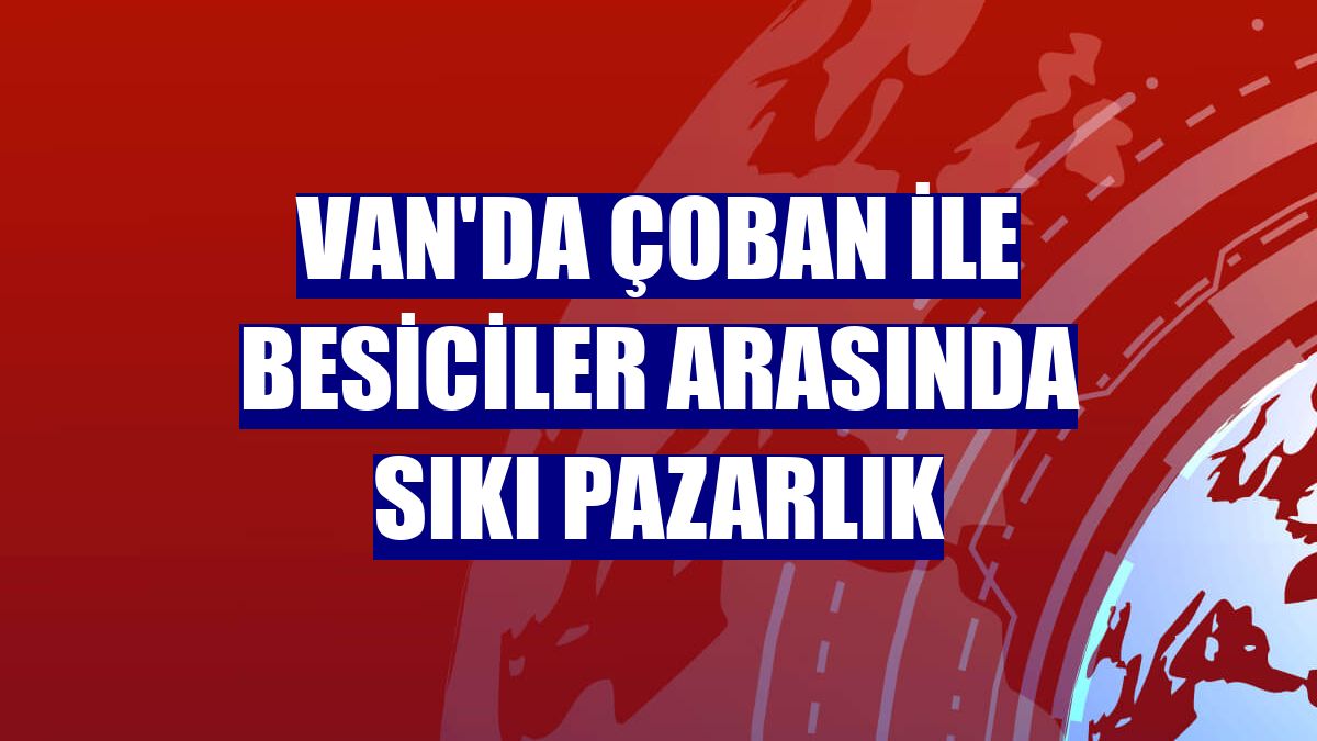 Van'da çoban ile besiciler arasında sıkı pazarlık