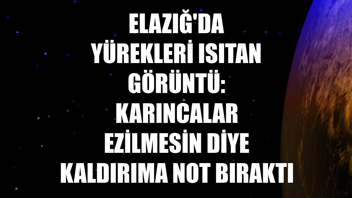 Elazığ'da yürekleri ısıtan görüntü: Karıncalar ezilmesin diye kaldırıma not bıraktı
