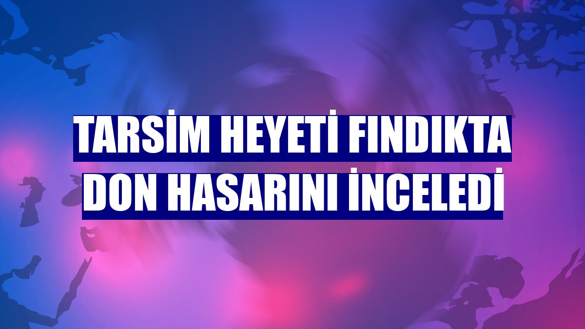 TARSİM heyeti fındıkta don hasarını inceledi