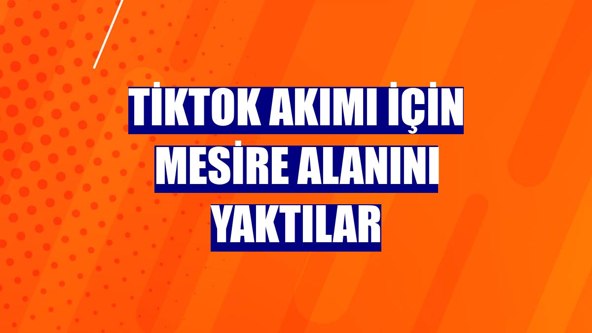 Tiktok akımı için mesire alanını yaktılar