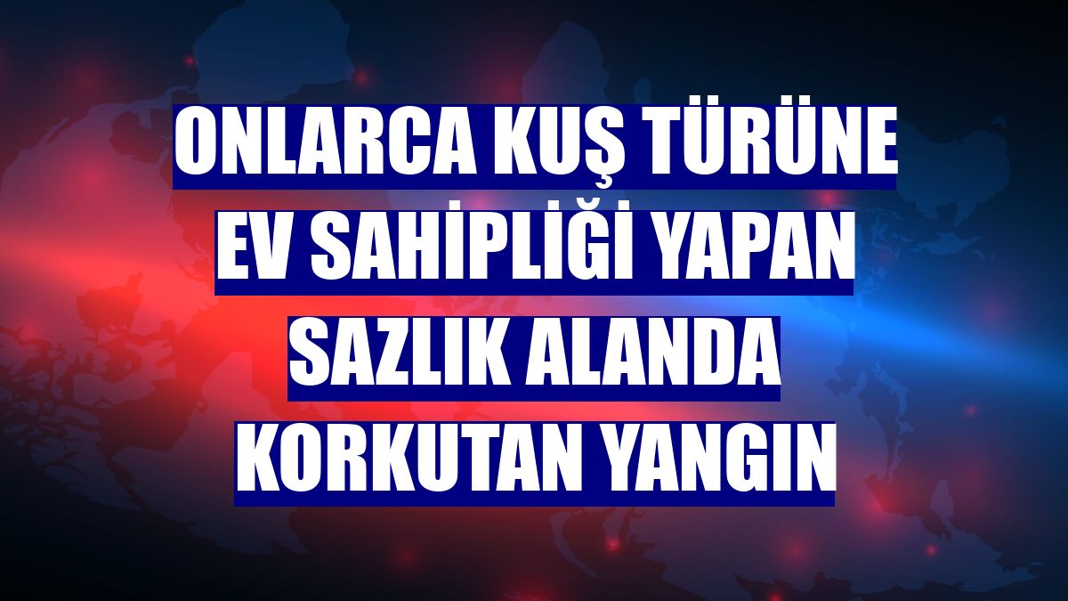Onlarca kuş türüne ev sahipliği yapan sazlık alanda korkutan yangın
