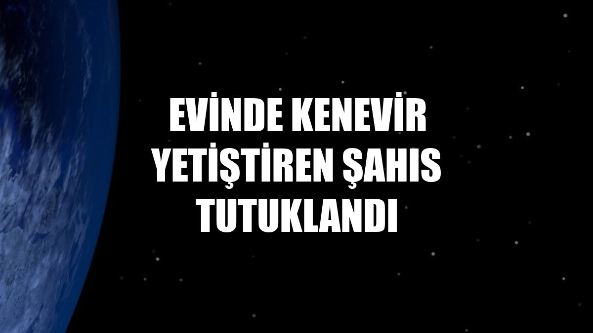 Evinde kenevir yetiştiren şahıs tutuklandı