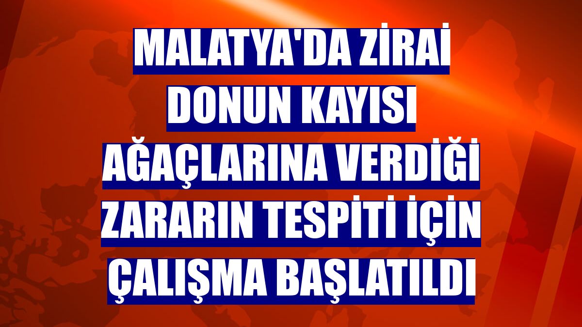 Malatya'da zirai donun kayısı ağaçlarına verdiği zararın tespiti için çalışma başlatıldı