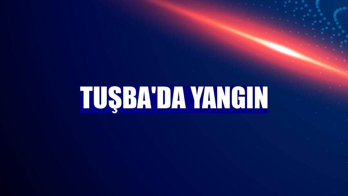 Tuşba'da yangın