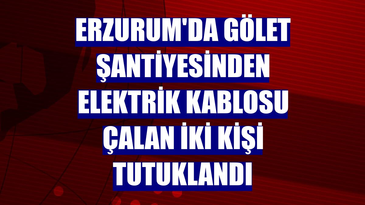 Erzurum'da gölet şantiyesinden elektrik kablosu çalan iki kişi tutuklandı