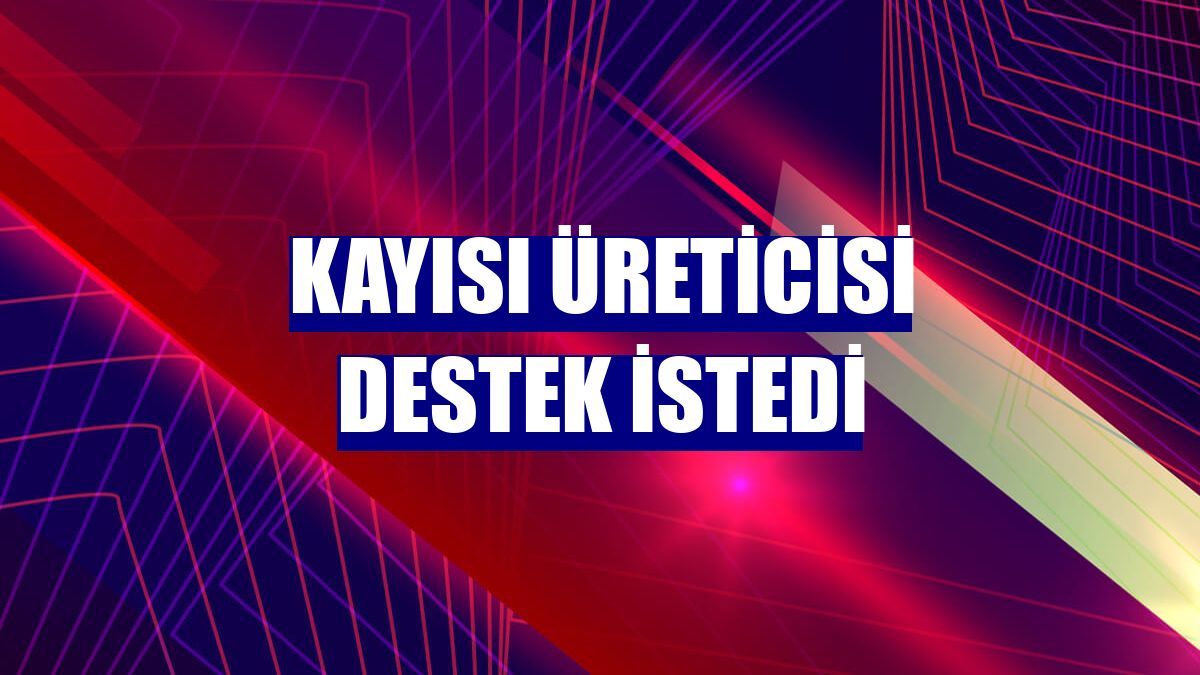 Kayısı üreticisi destek istedi