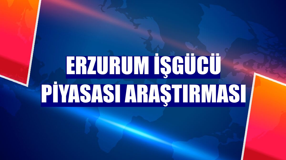 Erzurum işgücü piyasası araştırması