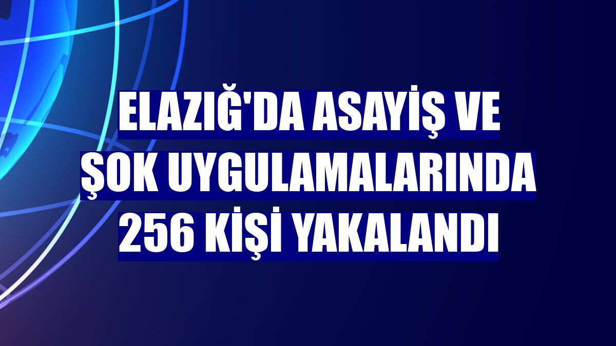 Elazığ'da asayiş ve şok uygulamalarında 256 kişi yakalandı