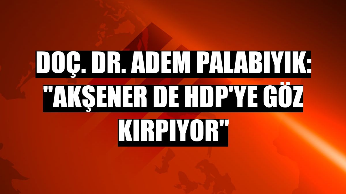 Doç. Dr. Adem Palabıyık: 'Akşener de HDP'ye göz kırpıyor'