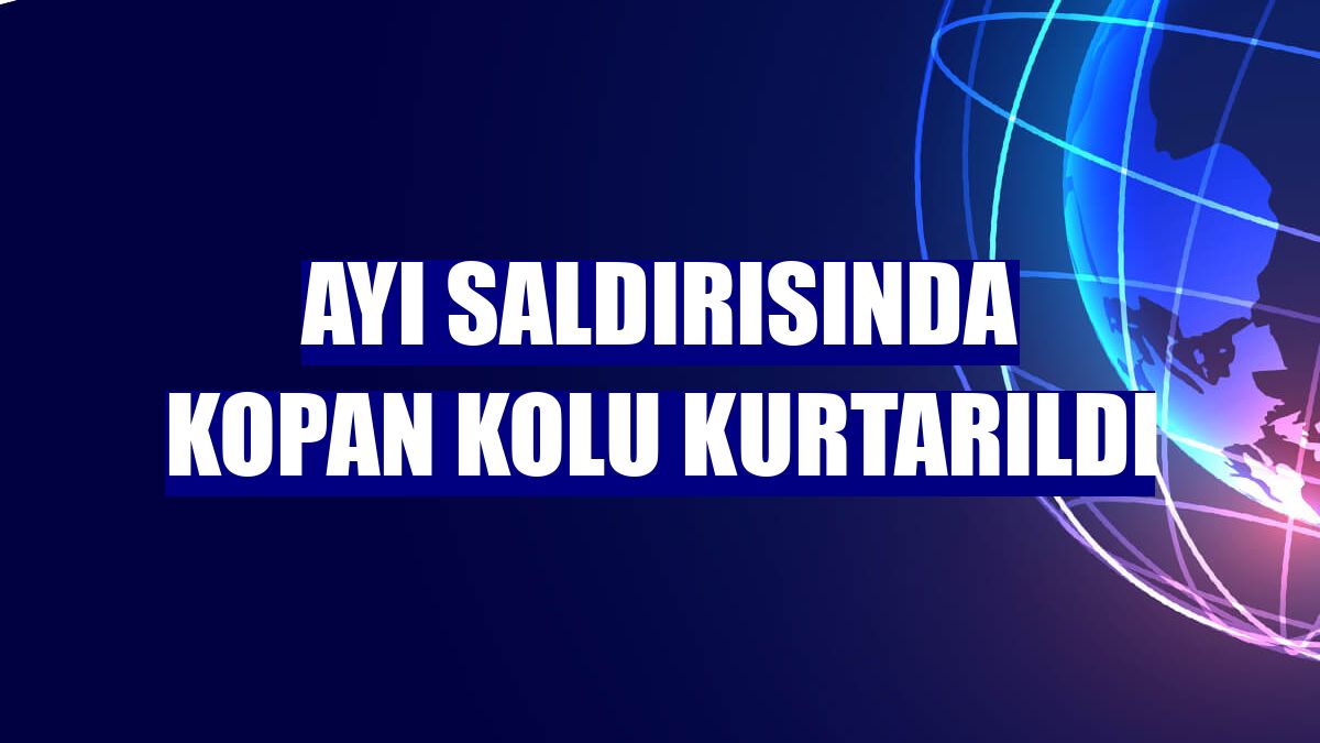 Ayı saldırısında kopan kolu kurtarıldı