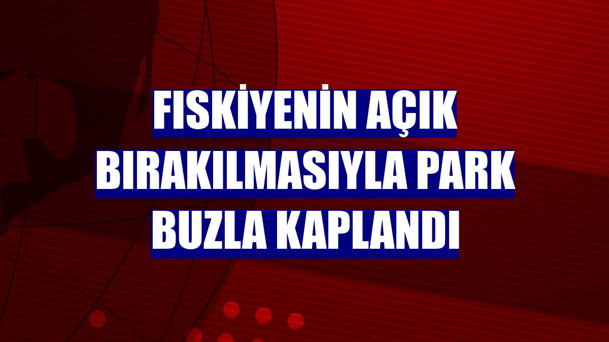 Fıskiyenin açık bırakılmasıyla park buzla kaplandı