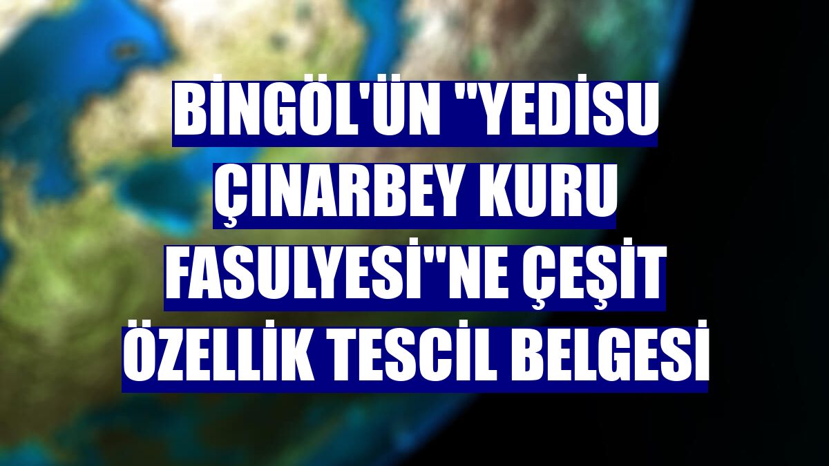 Bingöl'ün "Yedisu Çınarbey kuru fasulyesi"ne çeşit özellik tescil belgesi
