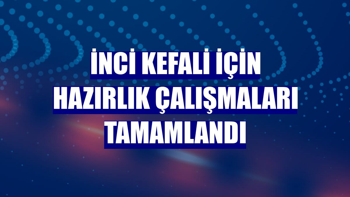 İnci kefali için hazırlık çalışmaları tamamlandı