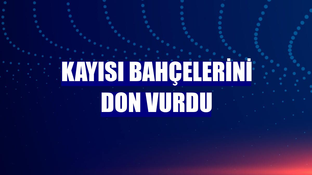 Kayısı bahçelerini don vurdu