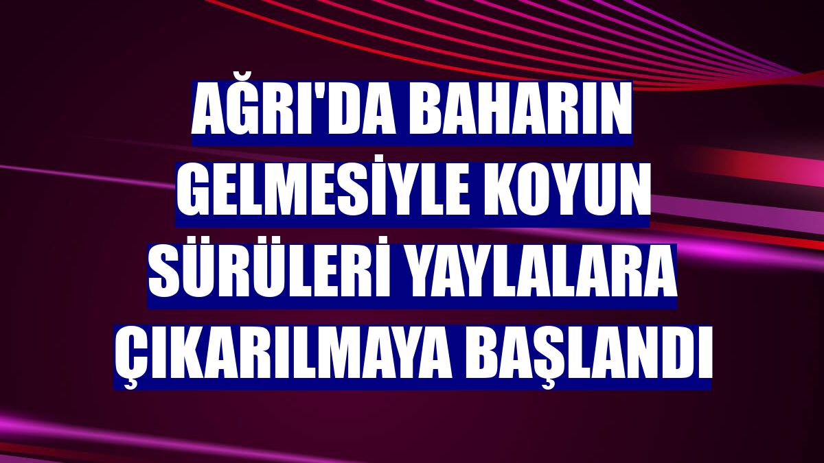 Ağrı'da baharın gelmesiyle koyun sürüleri yaylalara çıkarılmaya başlandı