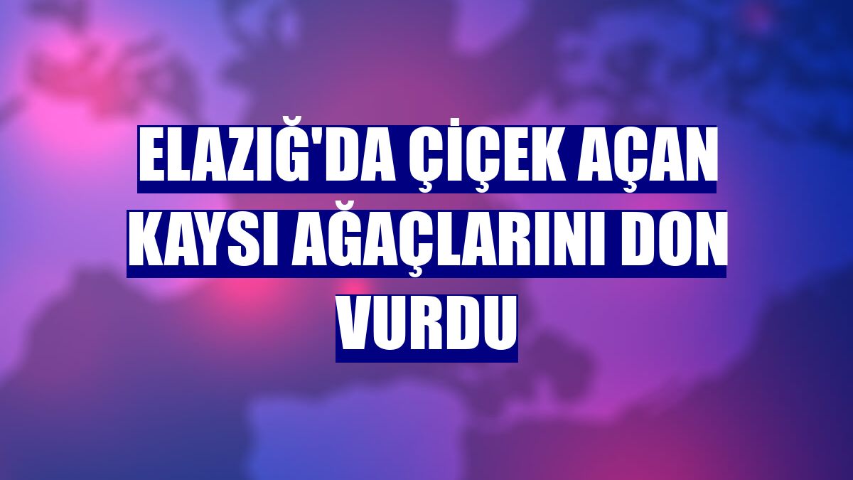 Elazığ'da çiçek açan kaysı ağaçlarını don vurdu