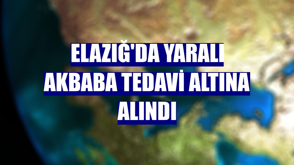 Elazığ'da yaralı akbaba tedavi altına alındı