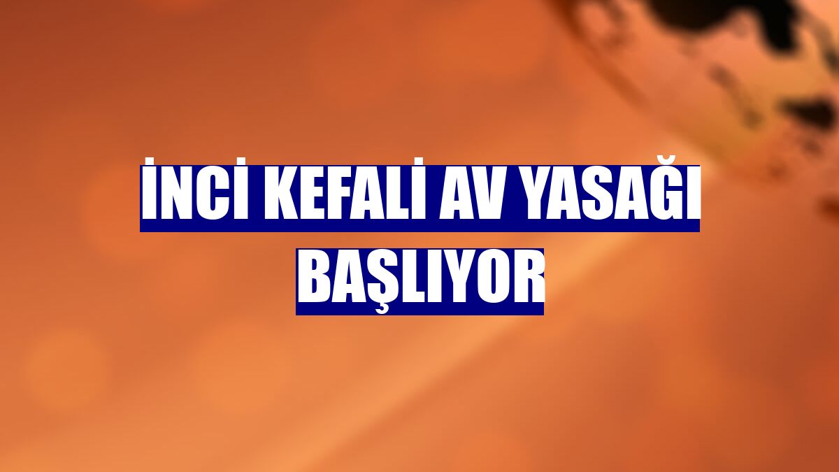 İnci kefali av yasağı başlıyor