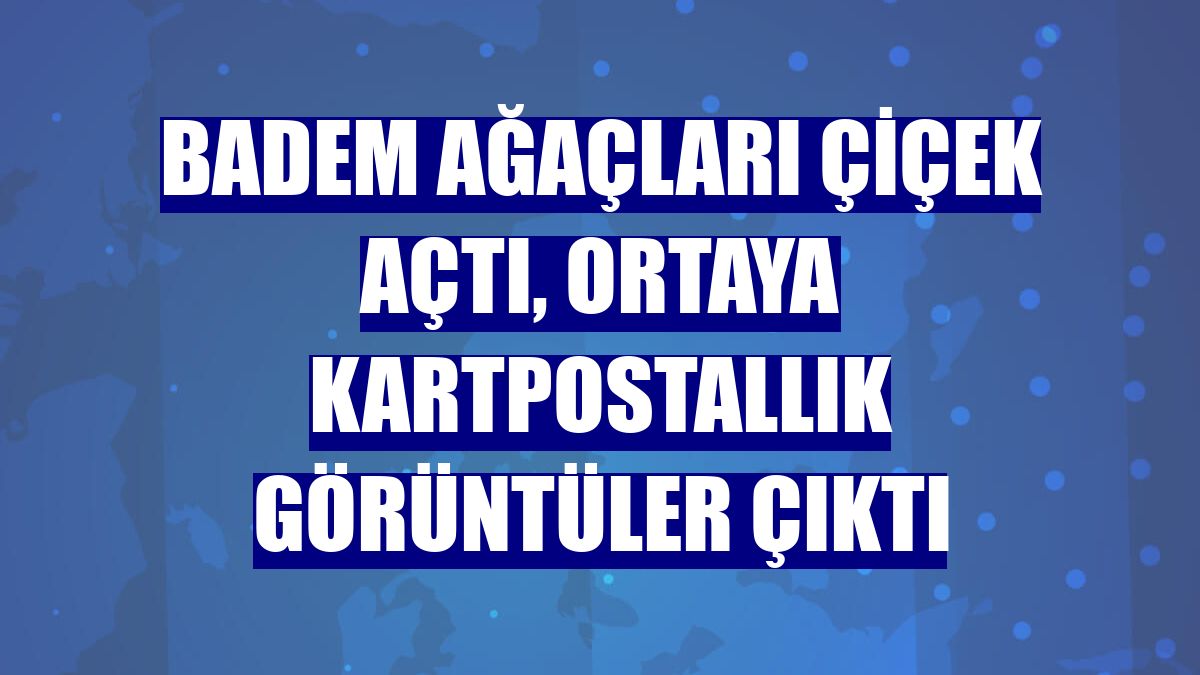 Badem ağaçları çiçek açtı, ortaya kartpostallık görüntüler çıktı