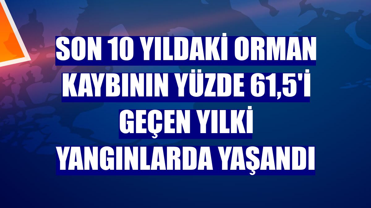 Son 10 yıldaki orman kaybının yüzde 61,5'i geçen yılki yangınlarda yaşandı