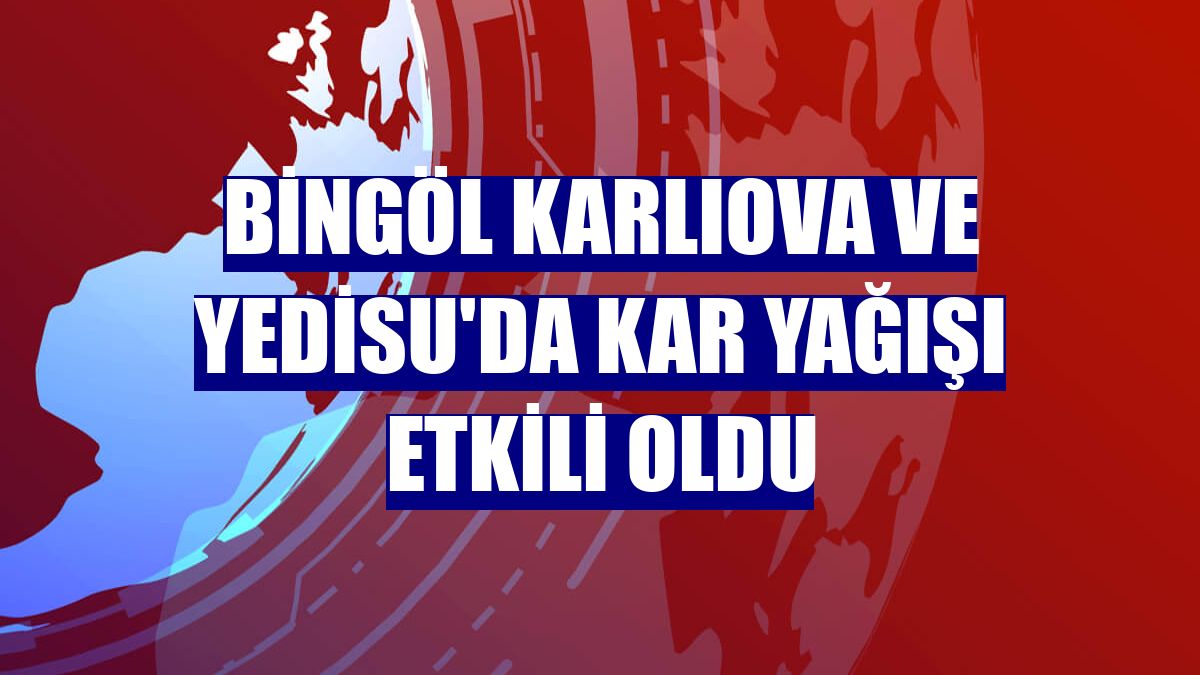 Bingöl Karlıova ve Yedisu'da kar yağışı etkili oldu