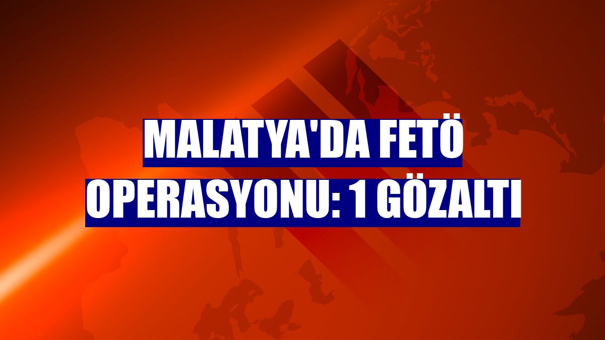 Malatya'da FETÖ operasyonu: 1 gözaltı